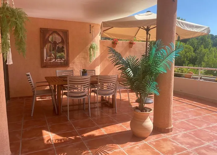 Vida La Nova 알테아